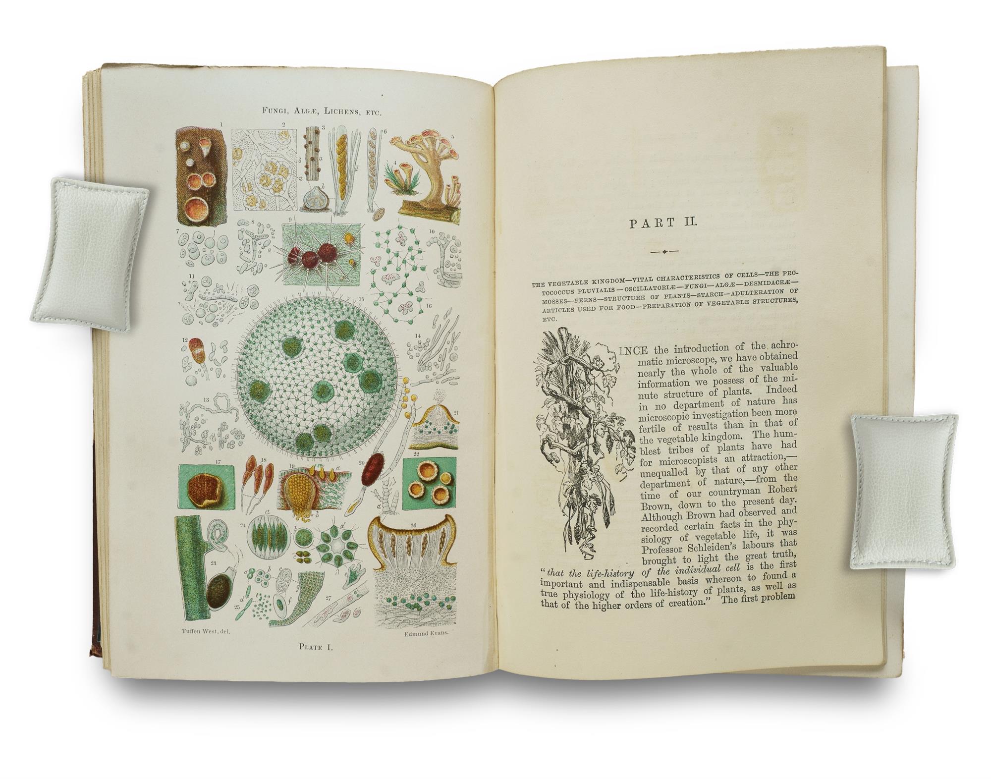 Six Volumes on the Application of the Microscope: Lionel Beale (1867 & 1880